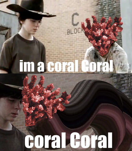 coral walking dead meme