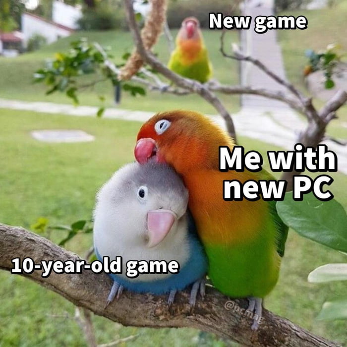 *confused $70 game noises*