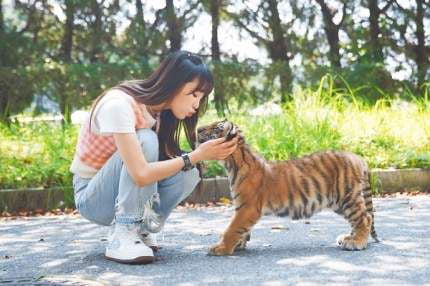 Photo : Yena and baby tiger