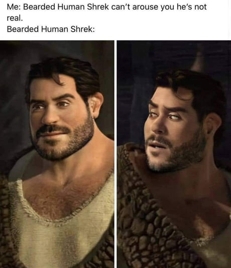 Meme of a bearded shrek with gaming setup