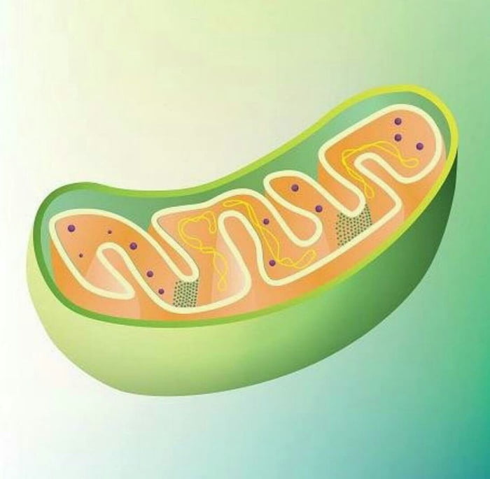 Roses are red, it's hot like hell... 9GAG