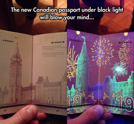 Canadians are more flamboyant than they let on