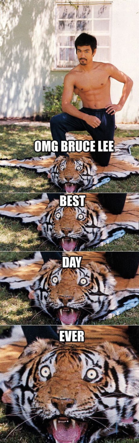 You lifen't but hey you met lee at least