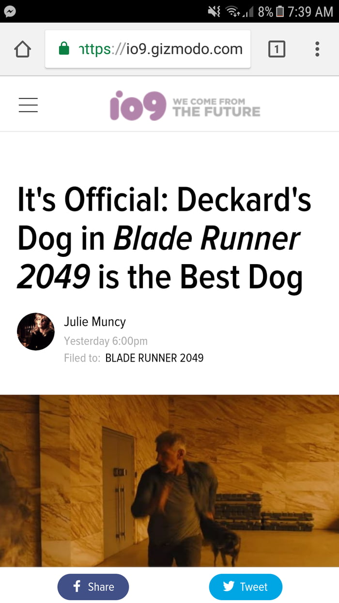 Now this is my kinda news