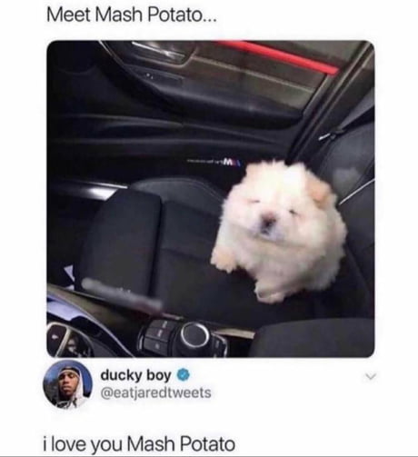 Smol Mash Potato 9gag