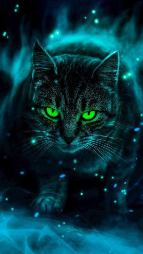 glowing cat eyes