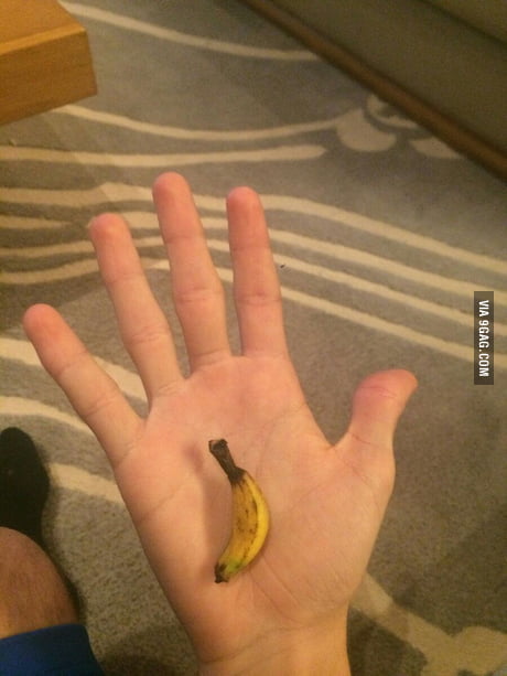 worlds biggest hand