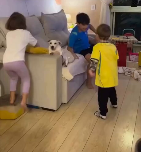 “I’m surrounded by animals!”
