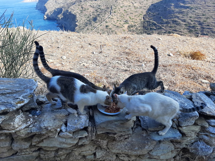 Post by arayarattanaporn43