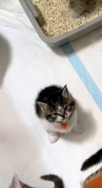 Why so angry