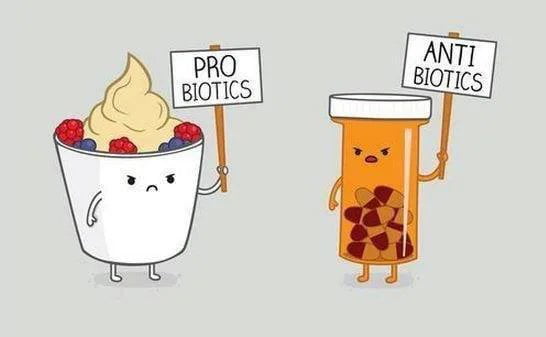 Support Bacteria
