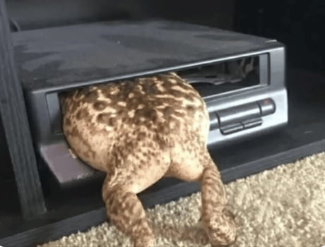 Help me stepfrog, I'm stuck.