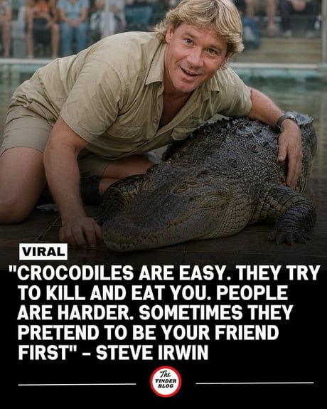 Best Funny steve irwin Memes - 9GAG