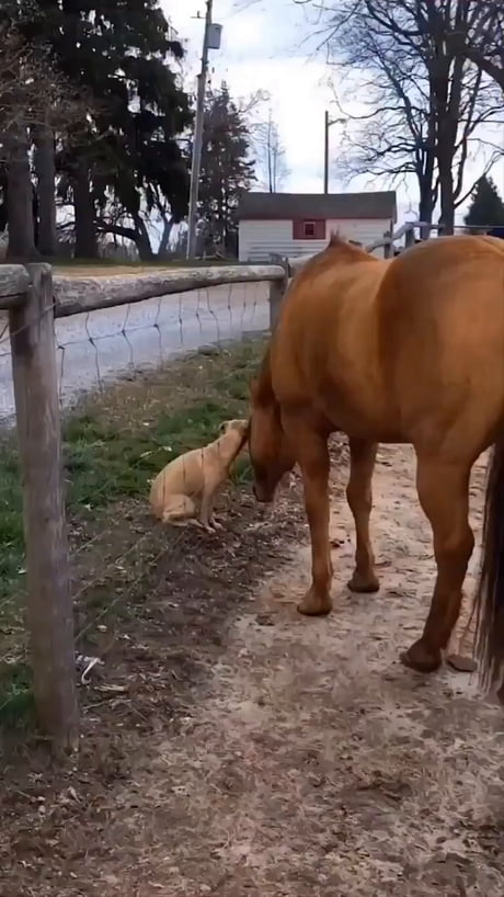 Just two besties sharing a moment