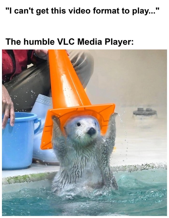 Vlc really handles everything like a champ