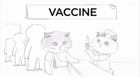 How it works vaccine.