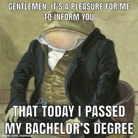 the bachelor meme