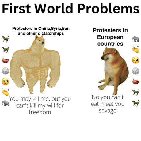 first world dog problems meme