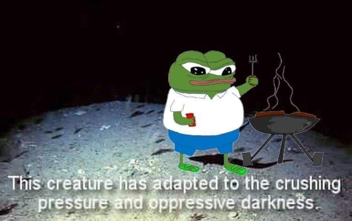 Me browsing fresh