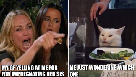 All lies...9GAGers don’t have GFs... woman yelling at a cat meme boredbat boredbat.com