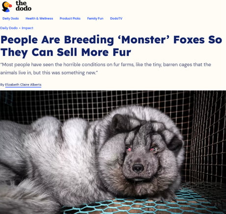 Forcibly breeding animals to suffer horrors beyond human comprehension -  9GAG