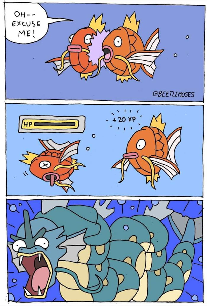 How magikarp evolves into gyarados in the wild... 9GAG