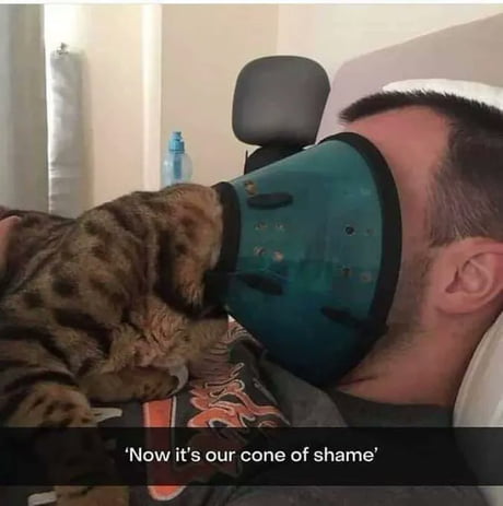 Cone of shame