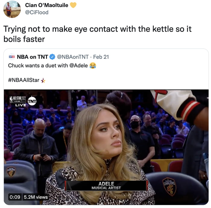 Adele's Appearance At The NBA All-Star Game Sparks Memes - 9GAG