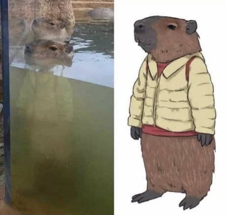 Capybara audio and memes are taking over TikTok - Polygon