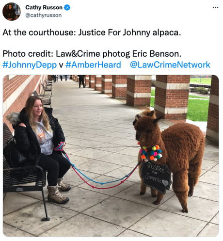 Woman Brings Alpacas To Johnny Depp s Trial To Try To Cheer Him Up