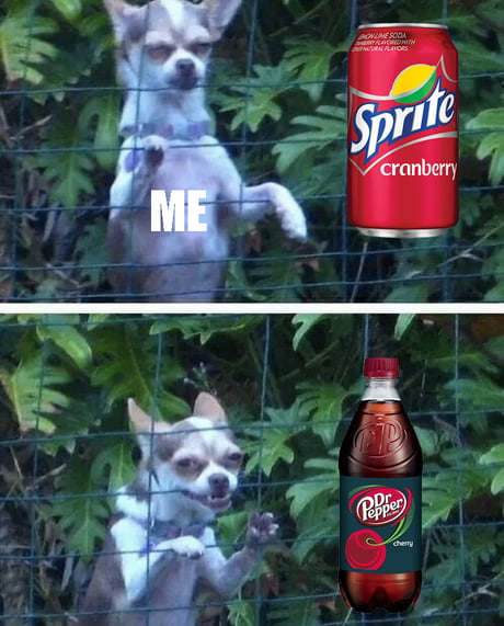 Featured image of post Cranberry Sprite Dog