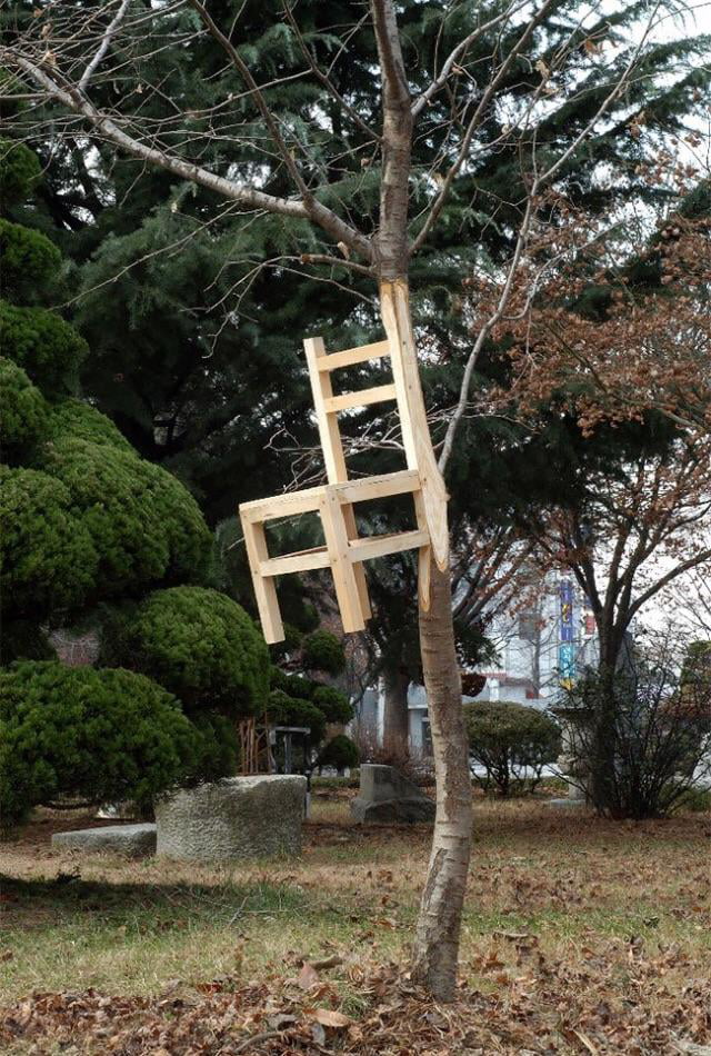 This Tree