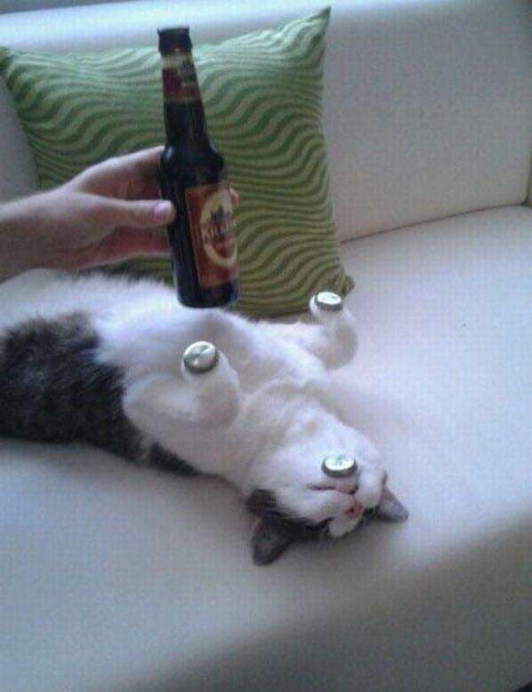 Master of balance..