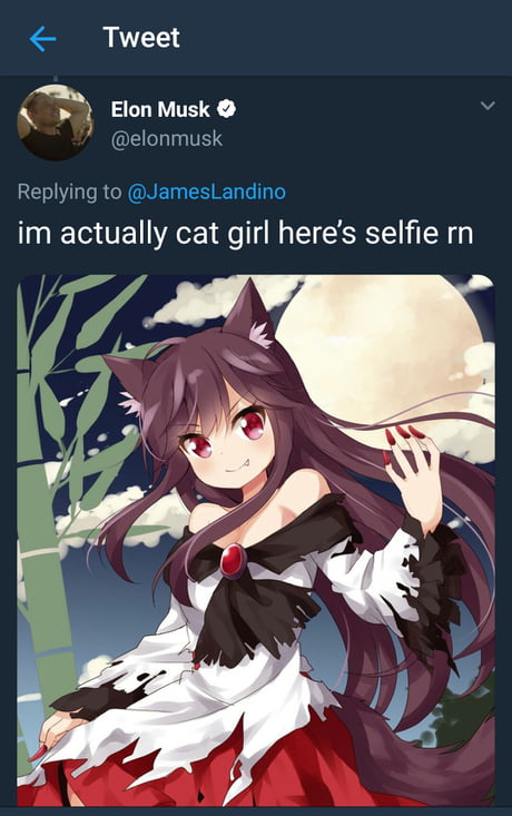 Imo the right one is not that bad, Genetically Engineered Catgirls