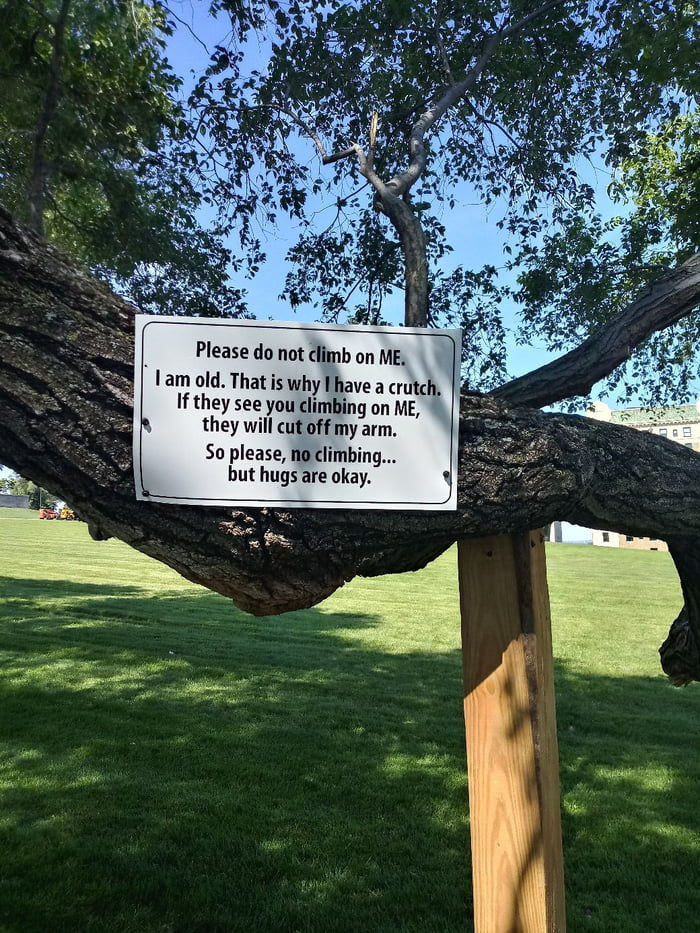 Sometimes, it's okay to be a tree hugger.