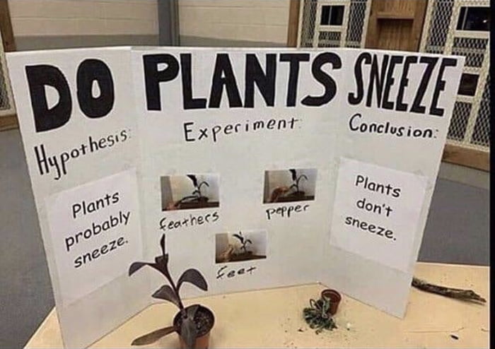 Do they?