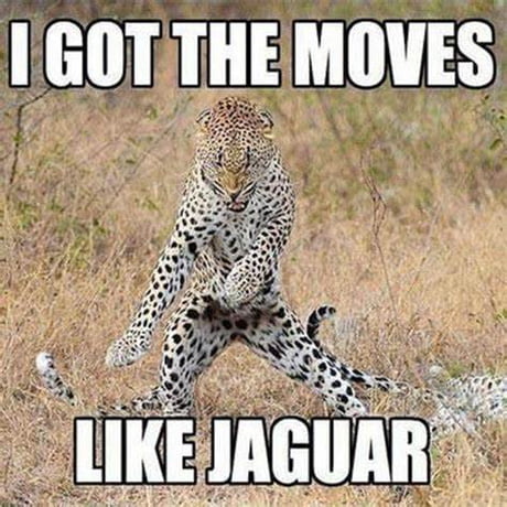 moves like jagger meaning