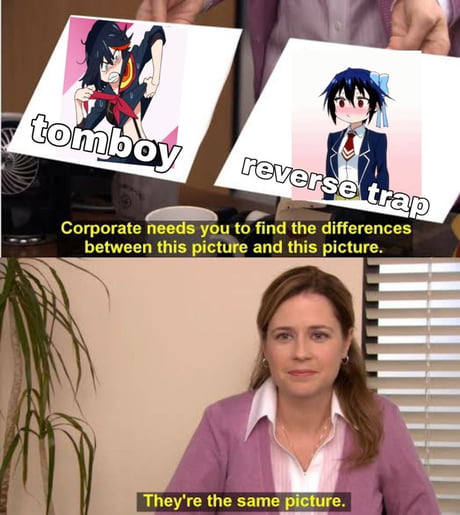 Tomboy And Reverse Trap 9gag