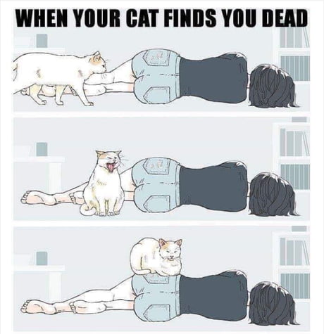 This seems accurate