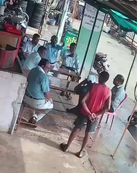 Cow decided to join the conversation