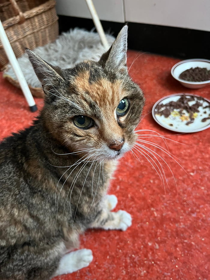 Farewell old sweety (20 y/o).