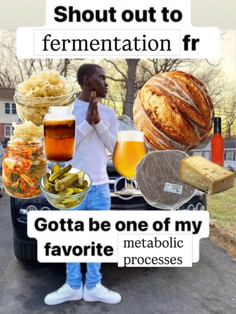 Best Funny metabolic process Memes - 9GAG