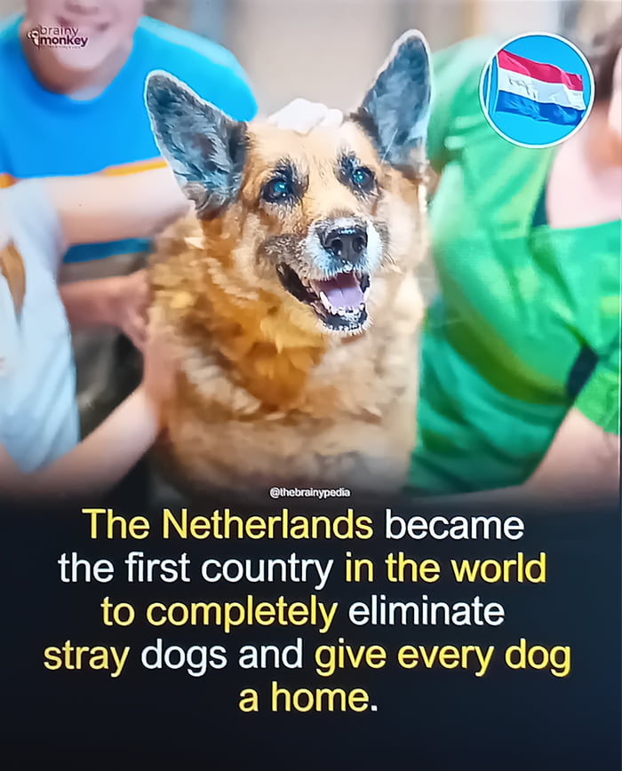 Not so much but sometimes i'm proud to be Dutch.