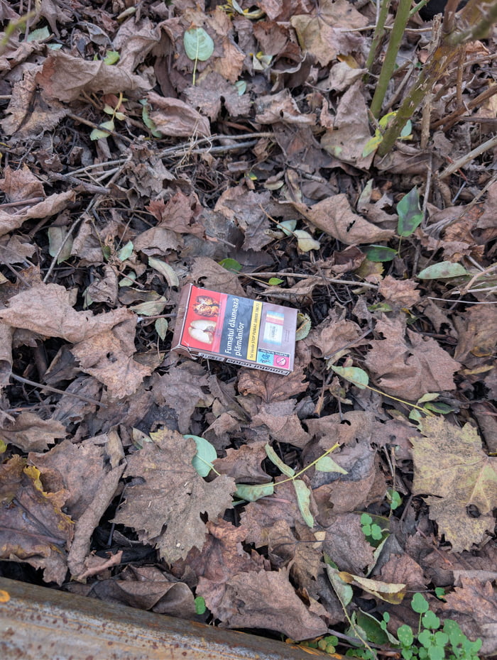 POV you had workers over