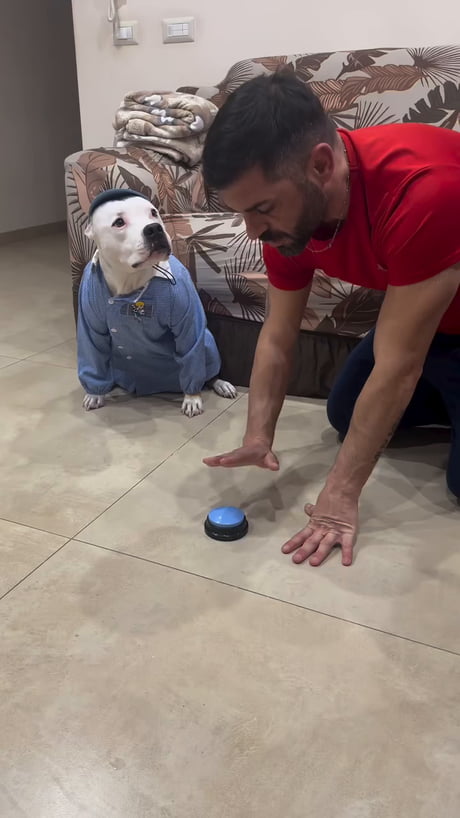 He put his paw on the button and won't let go