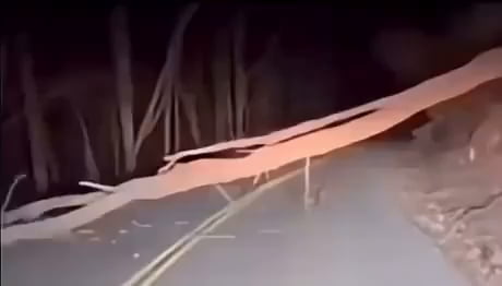 Just Guys Being Dudes