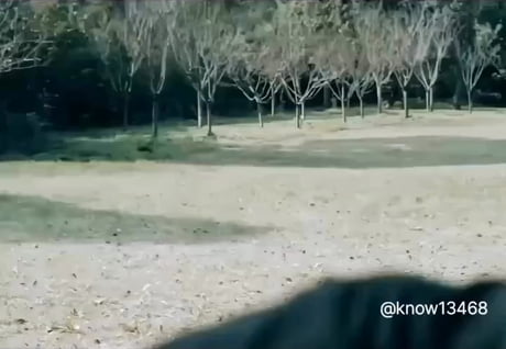 All is fair in love and war