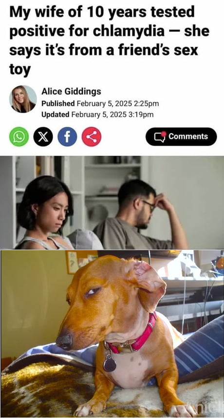 bedt sex toy 50 Hilarious Sex Memes We Can't Get Enough Of