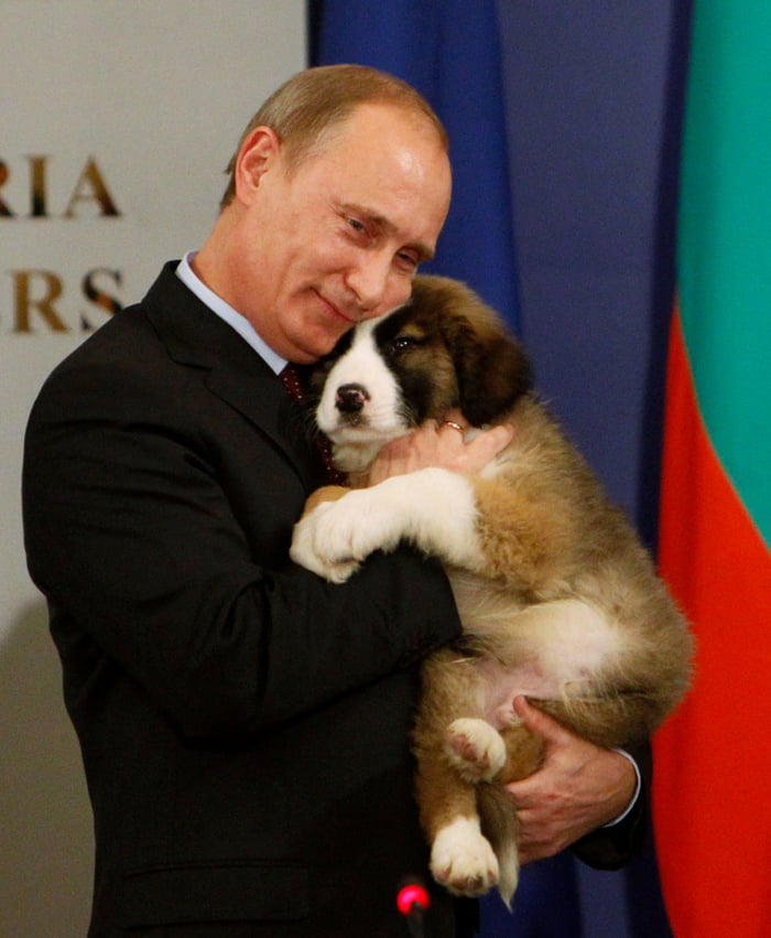 Putin received a new dog for his birthday, a name needed for his new pet