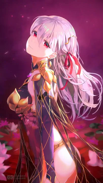 Fgo Live Wallpaper Pc